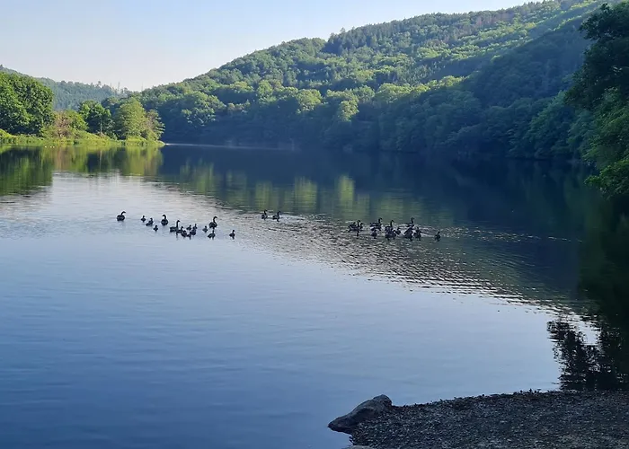 Am Rursee Apartamento *